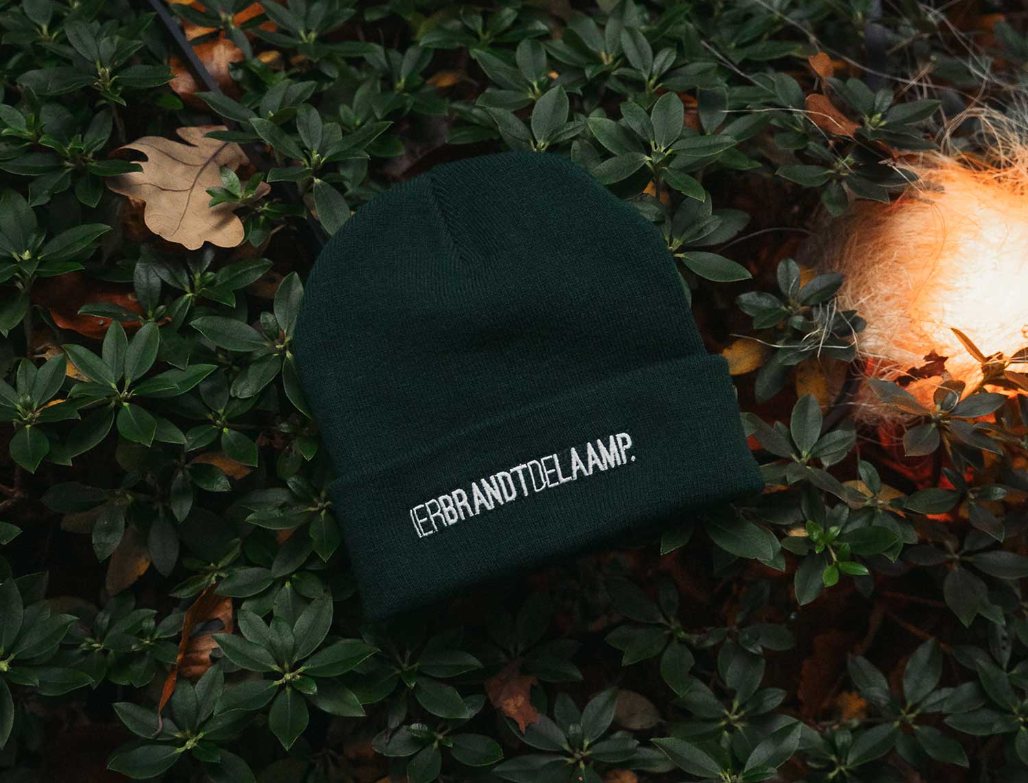 Muts • IERBRANDTDELAAMP. • Groen