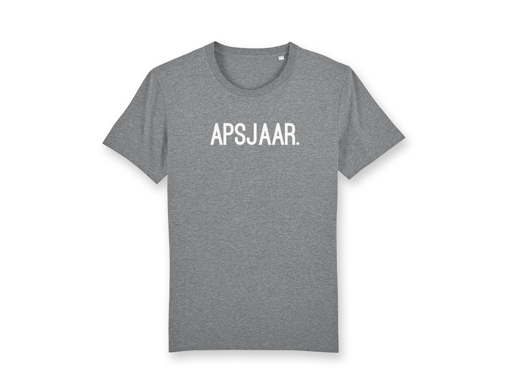 Apsjaar T-shirt grijs